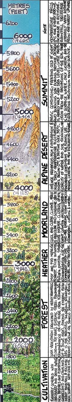 Kilimanjaro profile (c) 1998 & 2003 Giovanni Tombazzi